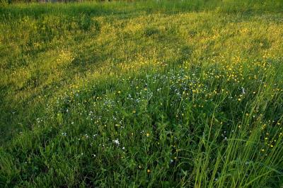 ROZTOCZE ,spring 05