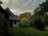after rain  landscape