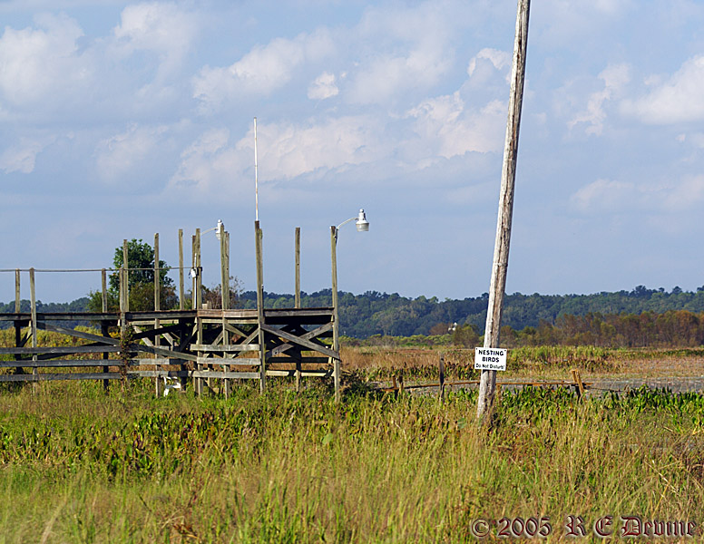 Old boardwalk and nesting pole