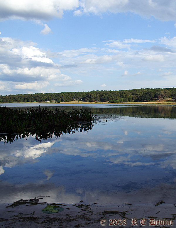 Reflections
