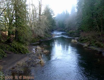 Rainbow Falls, WA - 03 Feb 2005