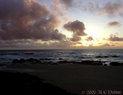 Oregon Coast - 04 Feb 2005