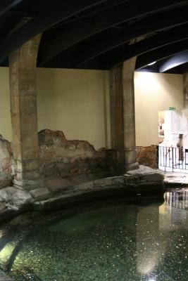 Roman Bath and Museum 30
