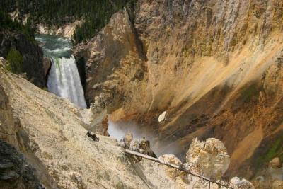 Lower Falls Yellowstone River 1