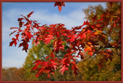 View of Red