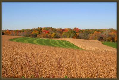 Wisconsin 2004