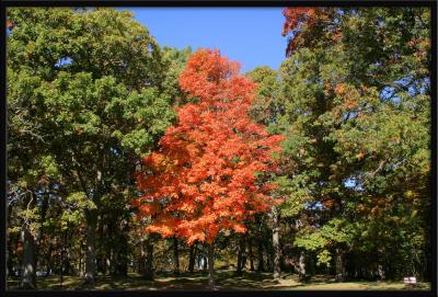 Wyalysing State Park Wisconsin