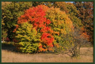 Illinois 2005
