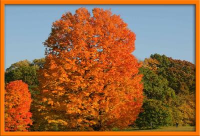 Autumn in Illinois and Wisconsin
