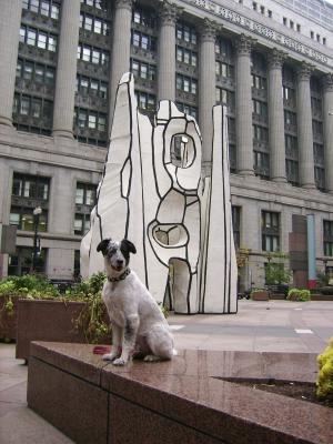 World's most handsome Border Collie visits Chicago on Saturday morning