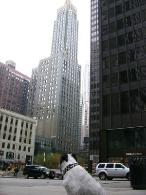 SSA50053.JPG