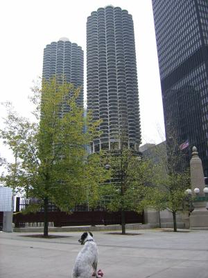SSA50057.JPG