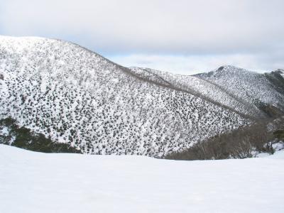 Razorback Trail