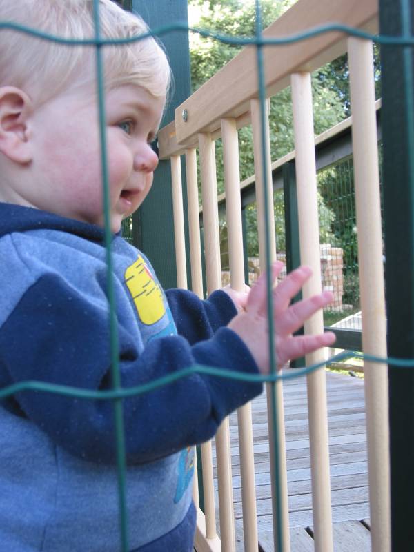 caged in