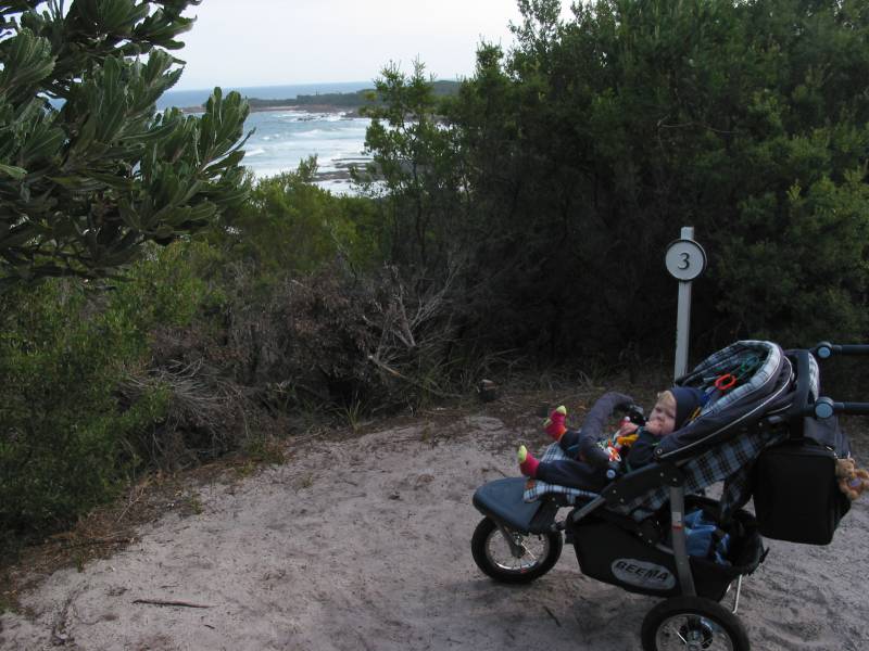a point of interest at cape conran