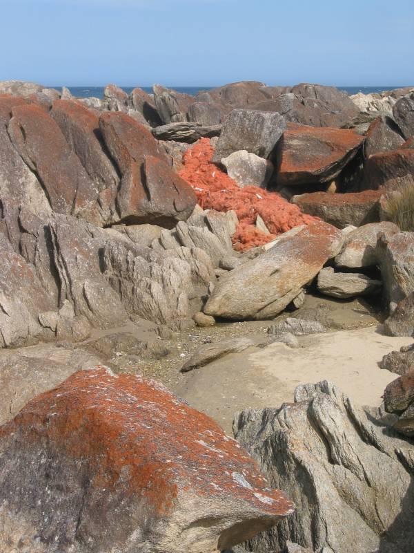 a study in orange