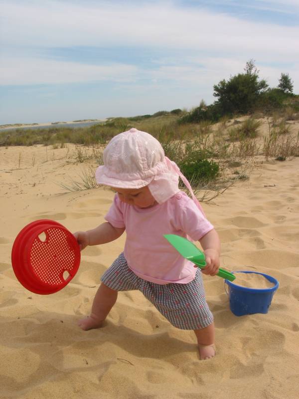 fill the bucket