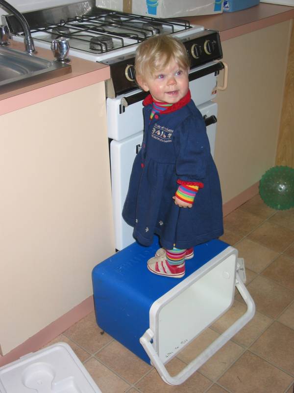 look what I can get up on!