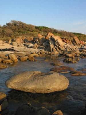 a rock