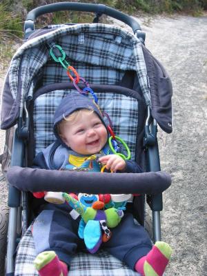 nature trail travelling