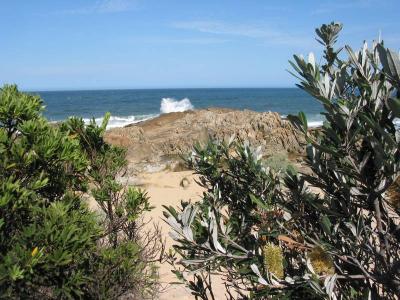 the tip of cape conran