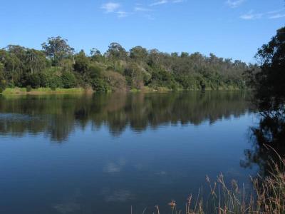 the snowy river