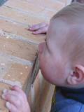 tasty bricks