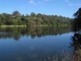 the snowy river
