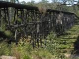 the trestle bridge at Nowa Nowa