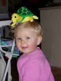 turtle hat
