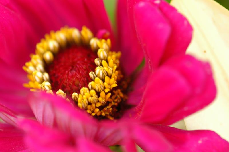 DSC_4147.JPG