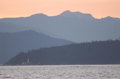 DSC_3505v1.jpg