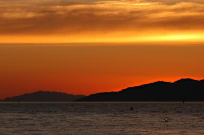 DSC_3519v1.jpg