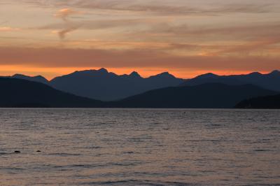 DSC_3524v1.jpg
