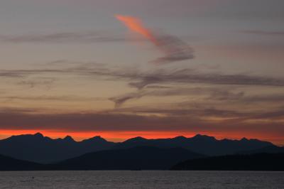 DSC_3561v1.jpg