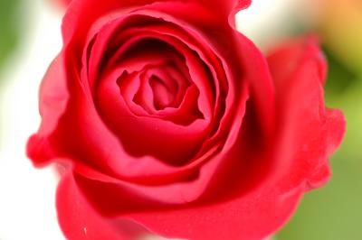 DSC_4104.JPG