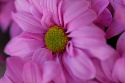 DSC_4190.JPG