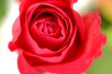 DSC_4104.JPG