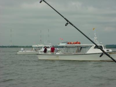 6/4/2005 - Magothy Charter Boats off Annapolis