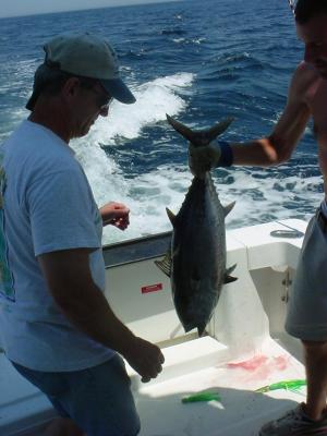 7/10/05  Ante-Up -Tuna at the Jackspot - early release on the WWB