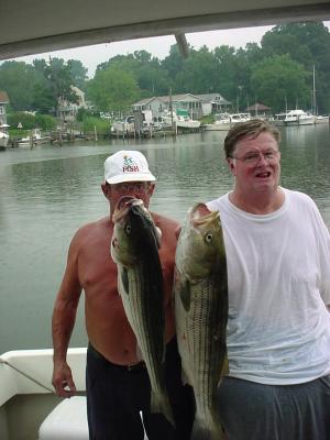 7/16/05 - Capt Ed shows off some nice trophy stripers caught Trolling at the LP Buoy pair at 34 & 35