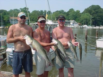 7/21/05 - Tim, Brandon, Steve with limit of nice stripers from 19 to 32
