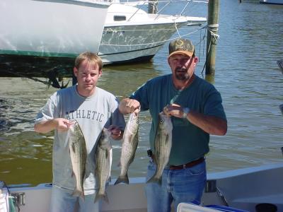 9/7/2005 James Roland & Father-inLaw Charter show off nice limit of Stripers from 22 to 25 onboard Down Time Charters