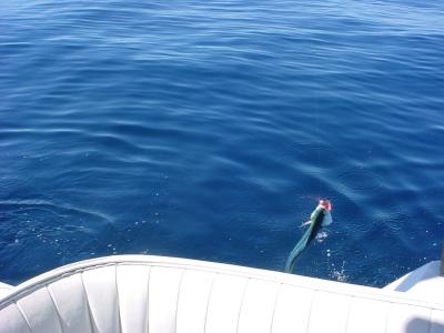 10/1/05 - OC fishing