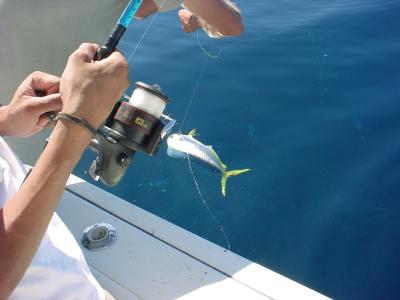 10/1/05 - OC fishing