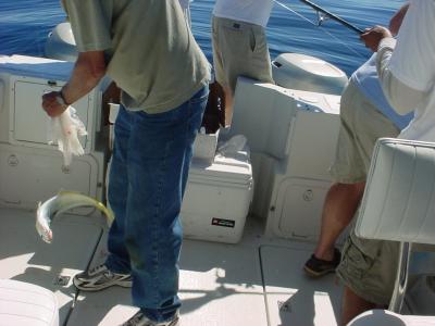 10/1/05 - OC fishing
