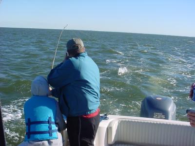 10/16/2005 - Zarek Charter - Young Ben helps dad with pulling in a nice Striper