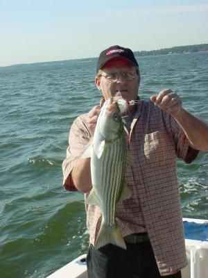 10/18/2005 Wes Naugle Charter - Dad shows off a nice striper release