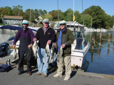 10/30/2005  Fred P Charter - nice limit of Fall Stripers