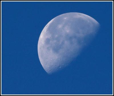 Morning moon